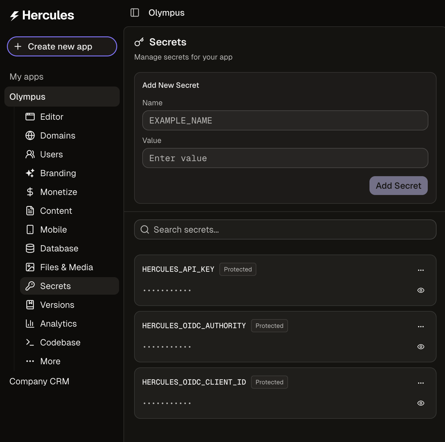 Secrets panel in the App Builder sidebar with the Add New Secret form open